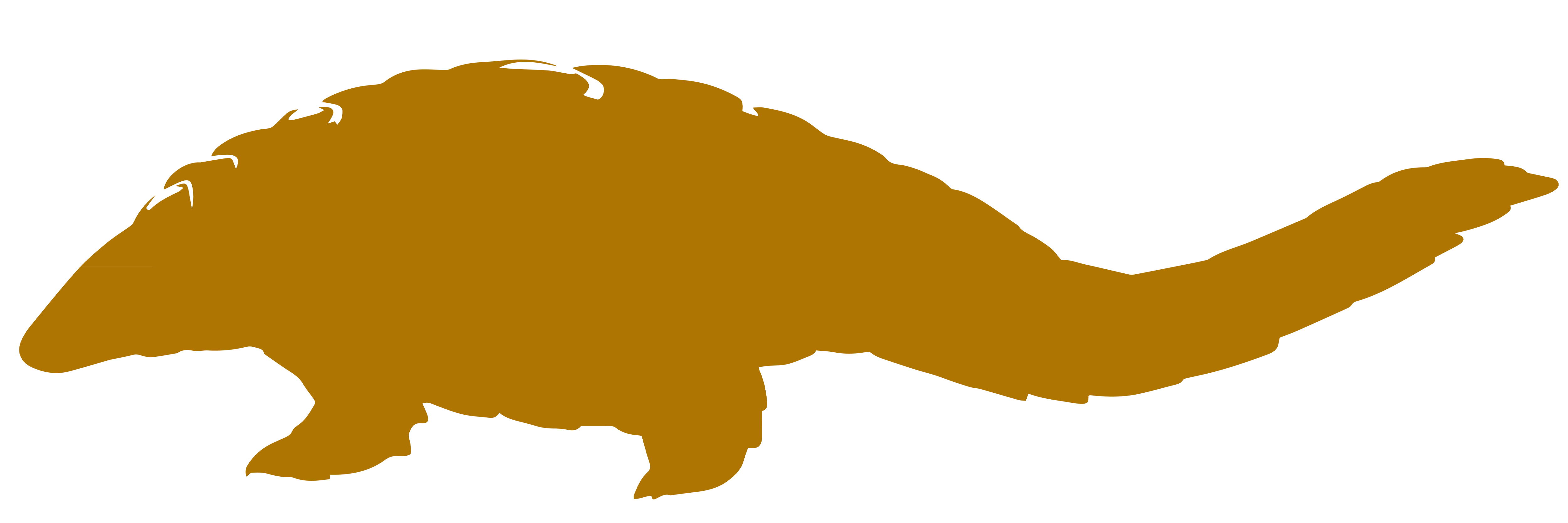 Pangolin