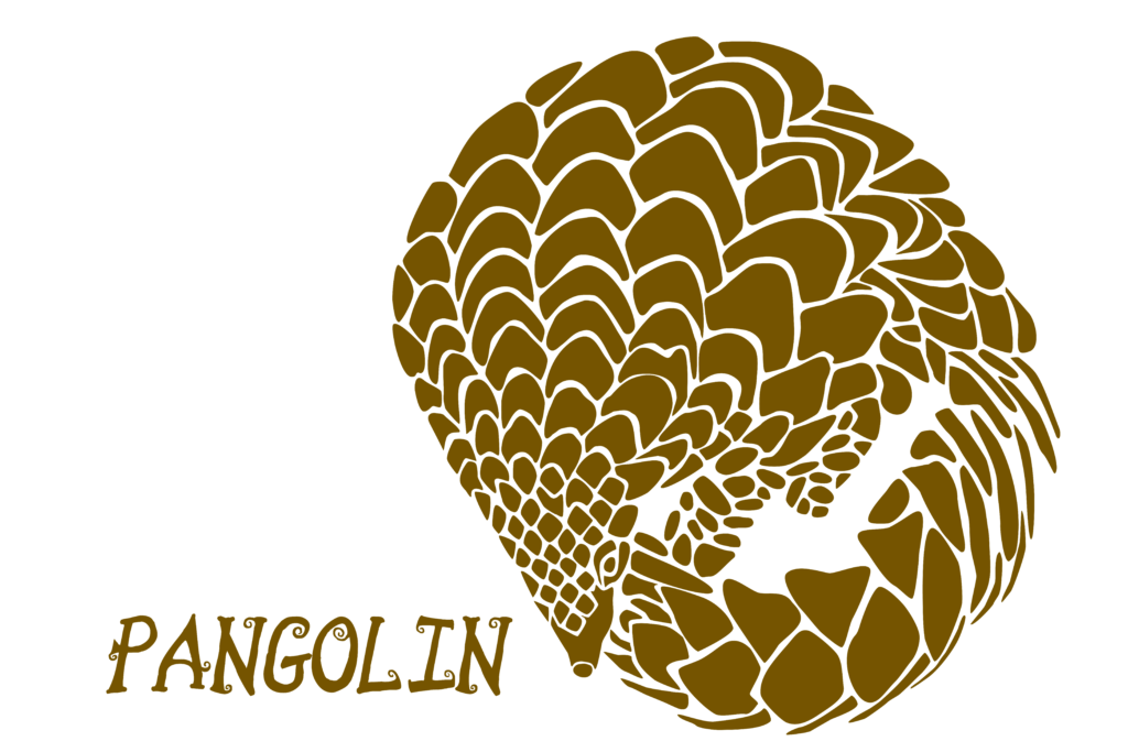 pangolin clothing